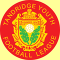 Tandridge Youth League